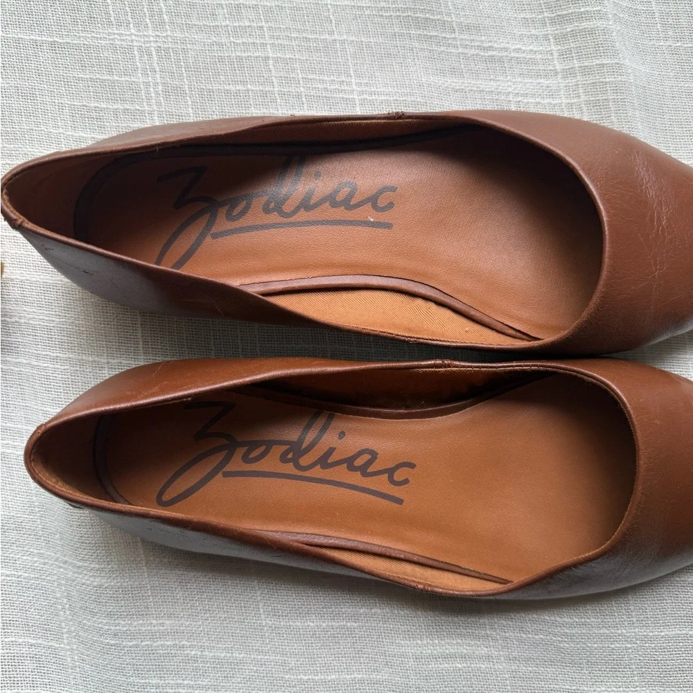 Zodiac Hill Snake Embossed Pointed Toe Flat